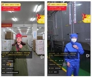 第十二屆安徽農交會盛大開幕 洽洽食品以“質造”引領行業(yè)健康發(fā)展